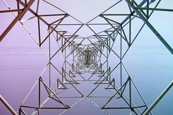 Consultative Expertise